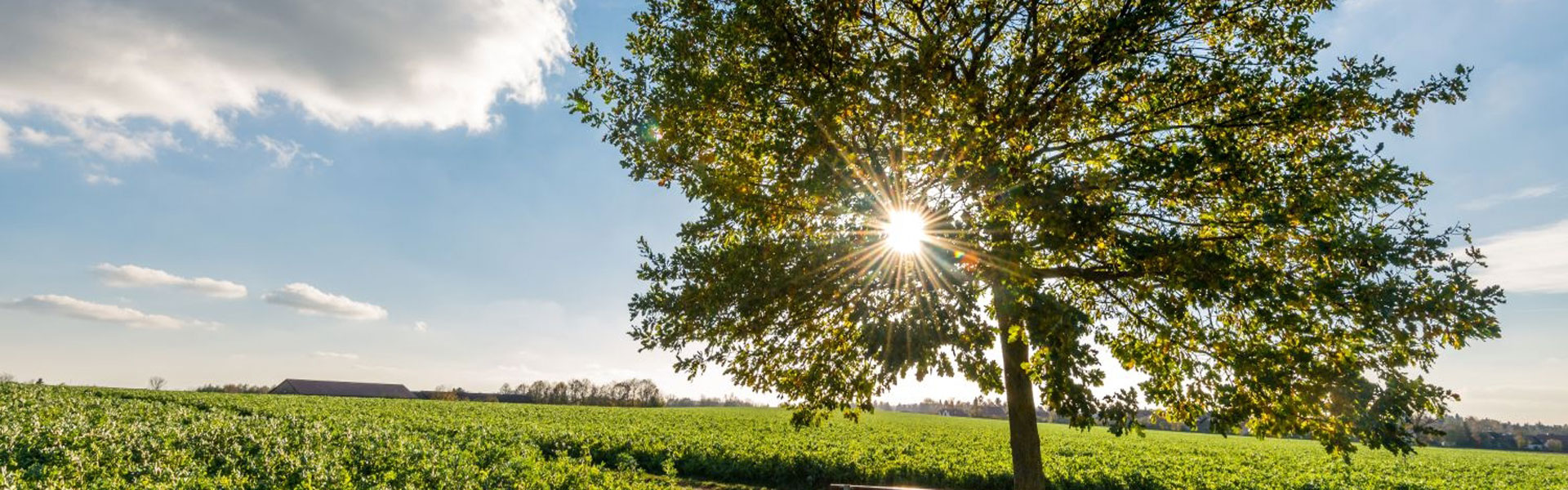 Header Hattenhofen (008)