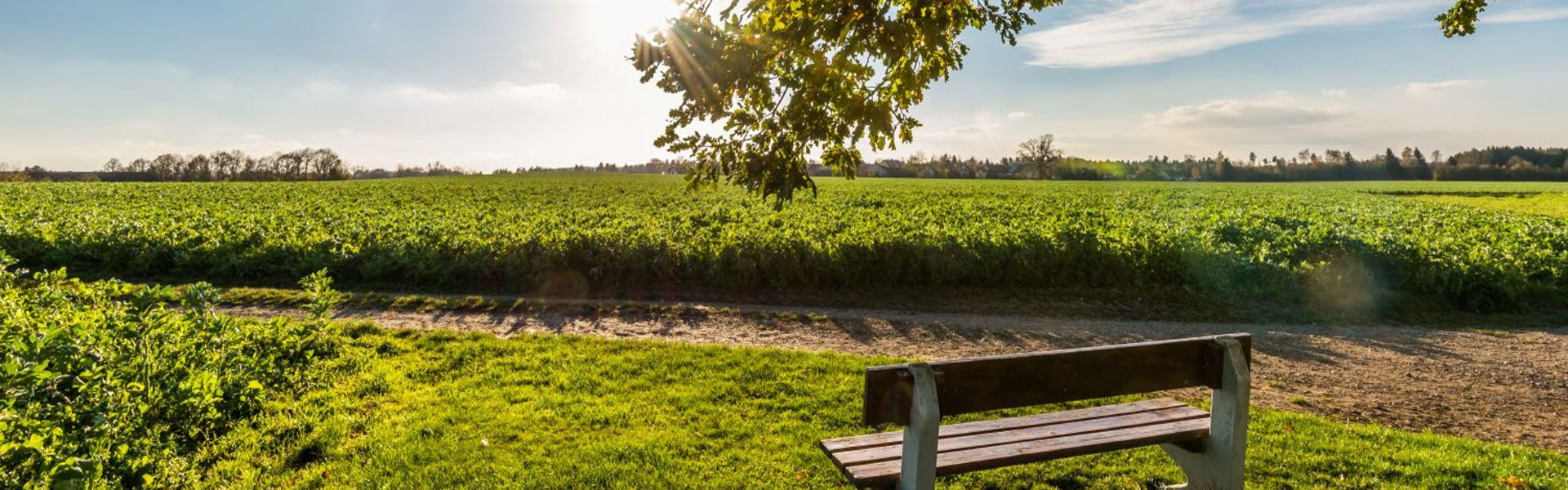 Header Hattenhofen (012)