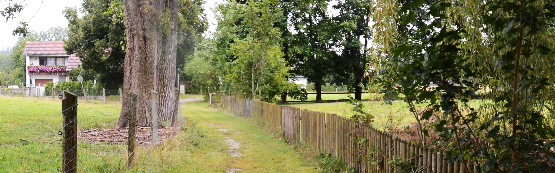 Header Mittelstetten (011)