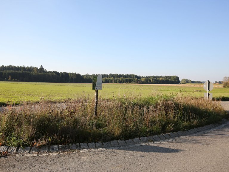 Blühwiese Althegnenberg - Verkehrsinsel