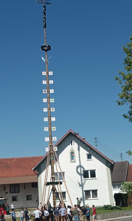 Maibaum22025 Mittelstetten