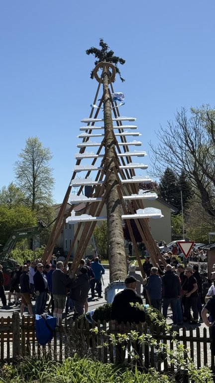 Maibaum_1